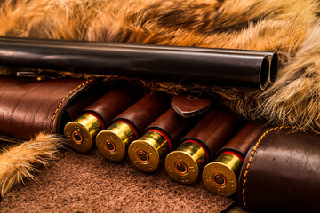 12 caliber bullets in leather hunting bandolier and double-barreled shotgun lying on the fur of the animal. View close-up