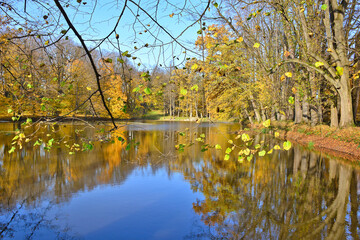 Beautiful view selective focus on pond in an autumn park with blur background.
 Blurred landscape by the water in autumn forest, reflections of autumn trees and twigs the water of a pond.