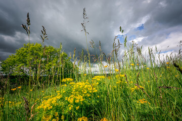 Heimat Niederbayern Landschaft mit Wolken