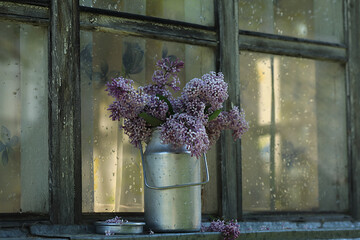 Lilac branches in a metal vase on a white wooden window in the sunlight.