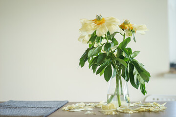 Fading buds of a beautiful creamy peony in a vase on a wooden table. 