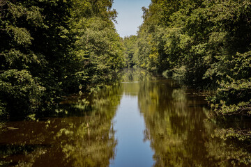 Fototapeta na wymiar Green trees along murky slow moving river on a summer day
