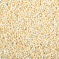 food background - amaranth grains close up