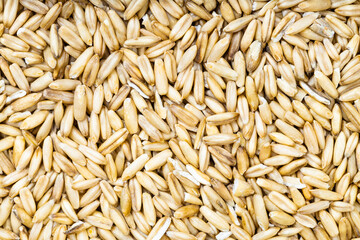 top view of unpolished oat grains