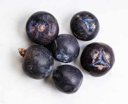 few dried juniper berries close up on gray