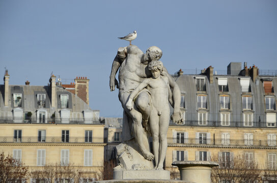seagull sits on the head of a statue in a paris park