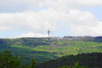 Blick auf die Hohe Wurzel mit dem Fernsehturm  in Wiesbaden der Landeshauptstadt von Wiesbaden