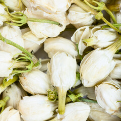 dried jasmine flowers close up