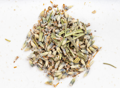 Pile Of Old Dried Lavender Closeup On Gray