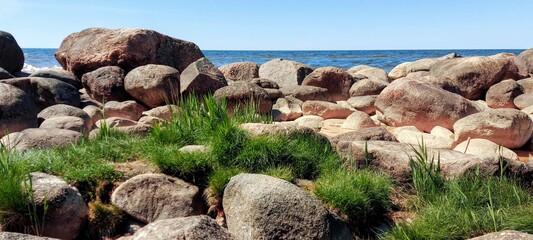 stones sea grass summer by the baltic sea