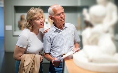 Positive elderly man and woman with guidebook standing at hall of Art Museum