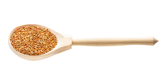 chumiza siberian millet seeds in spoon isolated