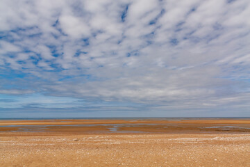 Fototapeta premium sand dunes and grass on the beach and clouds on the coast