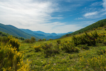 Fototapeta na wymiar Vue sur la vallée de Villeperdrix et les collines environnantes depuis le col de Chaudebonne