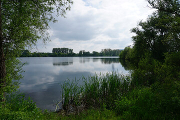 Blick über einen See an der Northeimer Seenplatte 