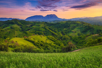 Summer sunset landscape with green fields and forests, Holbav, Romania