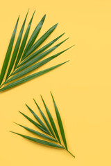Top view tropical green palm leaves on yellow background. Summer background. Vertical flat lay with copy space. 