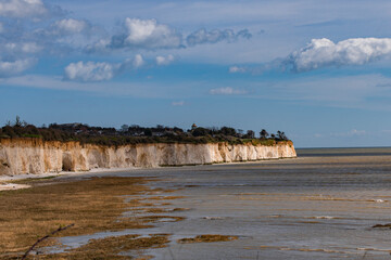 the view of the white cliffs from the beach 