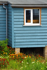 FELIXSTOWE, SUFFOLK, ENGLAND- MAY 28, 2021:  Blue cabin style dwelling with colourful flowers in bloom.
