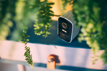 Shallow focus image with surveillance camera near green flower indoors.  - Powered by Adobe