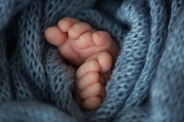 Two cute tiny baby feet wrapped in a blue-green aqua knitted blanket. 