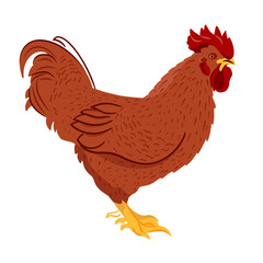 Adorable brown rooster. Farm domestic birds. Vector illustration of a chicken in a flat style.