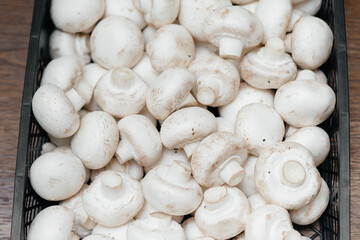 Ripe fresh mushrooms in a box in the warehouse after assembling a close-up.