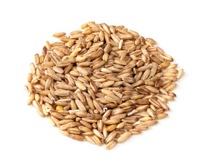 Fototapeta premium pile of wholegrain oat grains closeup on white