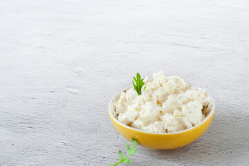 Ricotta dairy product cottage cheese ceramic bowl white background copy space