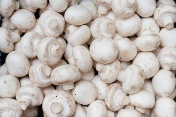 Ripe fresh mushrooms in a box in the warehouse after assembling a close-up.