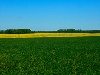 Farben der Felder und Wiesen im Frühling in der Uckermark