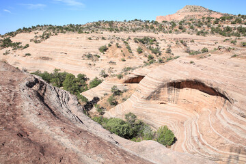 Fototapeta na wymiar Red Rock Park near Gallup in New Mexico, USA