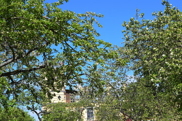 Fototapety na wymiar - Fototapeta24.pl