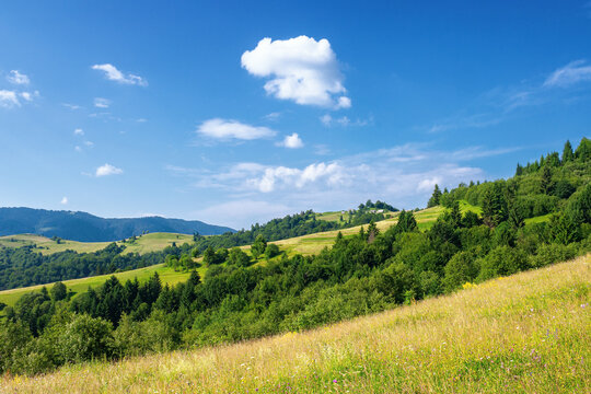 rural landscape in summer. beautiful nature scenery with fields on the hills rolling in to the distant valley. wonderful sunny weather with fluffy clouds on the sky