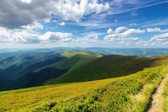 grassy hills and meadows of borzhava mountain ridge. beautiful landscape in summer on a sunny day with clouds on the sky