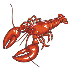 Lobster vector illustration
