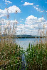 lake, grass and sky