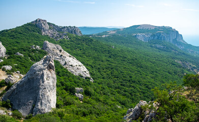 Fototapeta na wymiar Mediterranean landscape. Forested rocks of the Black Sea coast of the southern coast of the Crimean Peninsula on a clear sunny day.