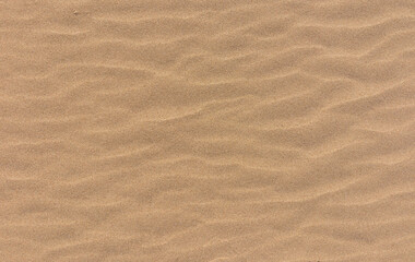 Fototapeta na wymiar sea sand dune beach texture