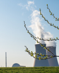 Branch with green leaves  against nuclear power plant.