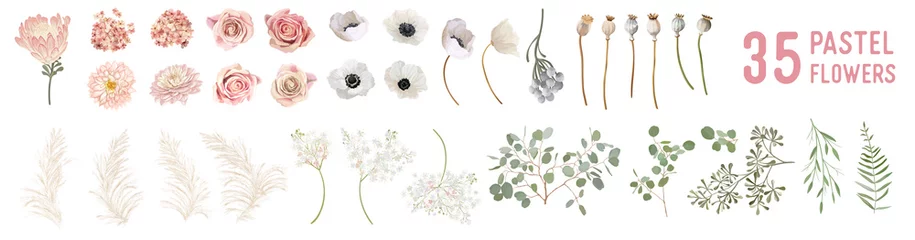 Deurstickers Vector flowers and leaves, dried anemone, wedding roses, pampas grass, eucalyptus greenery © wooster