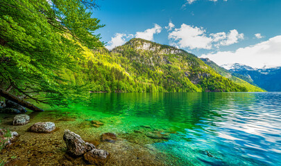 Naklejka na ściany i meble Bavarian Lake Königsee water view with green nature and mountain background