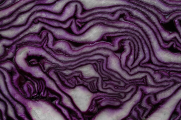 Obraz premium Red cabbage slice close-up Abstract organic texture background