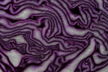 Obraz premium Red cabbage slice close-up Abstract organic texture background