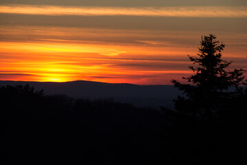 Sunset over hills and the silhouette of a fir tree