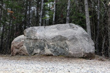 Close-up of a huge gray boulder near the walkway. Forest in the background