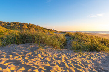 Sand Dunes with grass at sunset by North Sea beach, Oostende (Ostend), Flanders, Belgium.