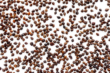 A background of unpeeled whole buckwheat seeds placed on a white background at a short distance from each other. Pseudocereal agricultural crop. View from above.