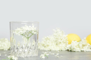 A glass of elderflower juice. 