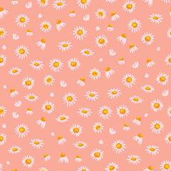 Summer seamless pattern of chamomiles on a pink background